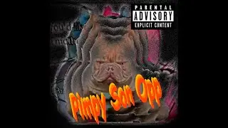 Pimpy Son Opp