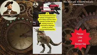 10 Facts About Stygimoloch #dinosaurs #history #animals #reptiles  @TheArchimedesFiles