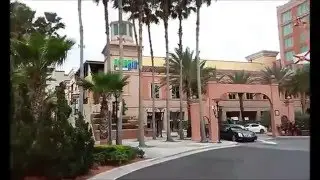 International Plaza: A Walking Vlog