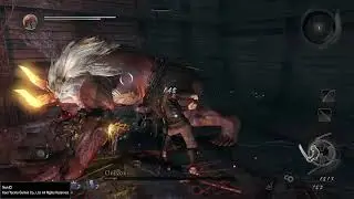 Nioh Onryoki Boss Fight
