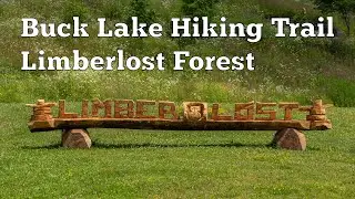 Buck Lake Hiking Trail At Limberlost Forest