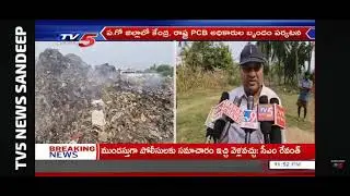  Violation of NGT orders 