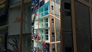 AR AUDIO Karangploso 🔊 Karnaval Batu Sidomulyo 📸