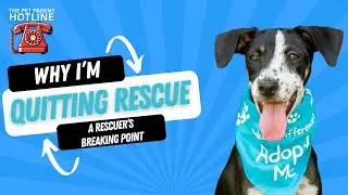 Why I'm Quitting Animal Rescue