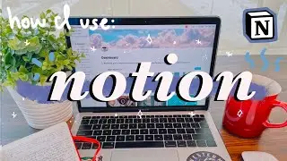 how I stay organized as a med student (full notion tour 💻)