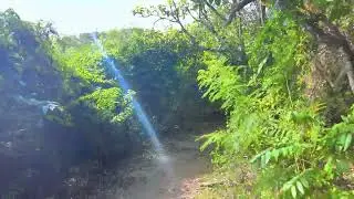 Beautiful beach Walk Saint Felix Guadeloupe3