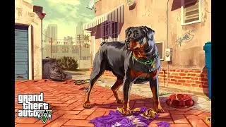 Grand Theft Auto 5 | Gameplay | Part 23 | Which Option Franklin Should Choose?