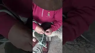 O BUÇAL DO BRUXO