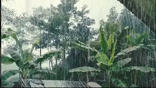 Heavy rain for a tired soul, feel a deep sleep without any disturbance of mind.