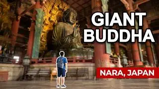 Tōdai-ji Temple Nara | Japan&rsquo;s Giant Buddha & The Most Powerful Temple You&rsquo;ll Visit