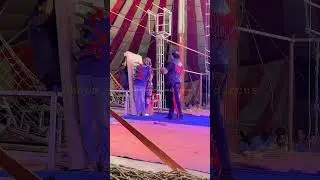 dhoom international circus