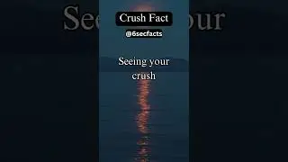 Your Daily Crush Fact in 6 Seconds#shorts #crush #factsdaily #facts #love #lovestatus #romance