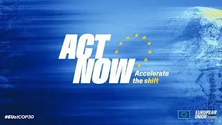 EU at COP30