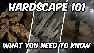 Aquarium Hardscape 101: основные сведения!