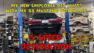 1988 Ford Mustang Notchback 5 Speed Destruction
