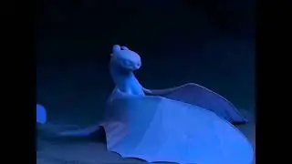 Light Fury