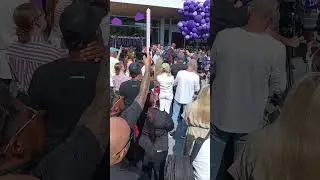 Grand opening of massive Wayfair store in Wilmette, IL. May 23, 2024