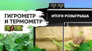 Гигрометр и Термометр Exo Terra - итоги розыгрыша