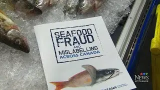 This personal scanner could help consumers detect food fraud