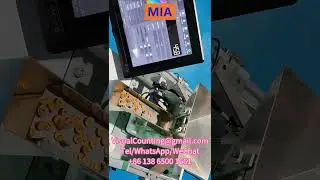 Malaysia Clothing Button Visual Counting Machine Manufacturer Supplier Price in Brazil Russia India