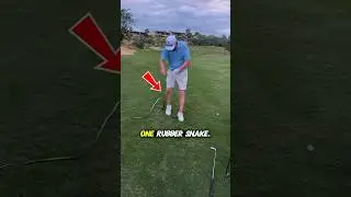 The greatest golf prank of all time 😂 #golf #prank #funny #snake #golfing #fail #scary #humor#ai