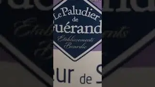Senz Having A Little Too Much Fun With FRENCH