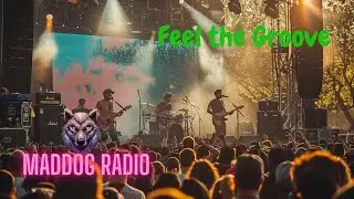 Feel the Groove