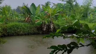 Relaxing Rain Sounds for Sleep, Study & Meditation | ASMR
