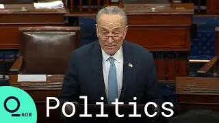 Schumer 'Thrilled' to Vote for Yellen to Become First Woman Treasury Secretary