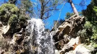 ПОХОД К ВОДОПАДУ КАЛЕДОНИЯ/WALKING TOUR  TO THE CALEDONIA FALLS