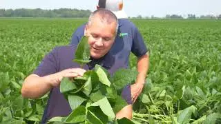 @CornWarriors Cory Atley & AgX's John Schaeffer, Gunther Kreps | Fungicide