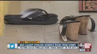 SHOE BANDIT ARRESTED IN PINELLAS PARK