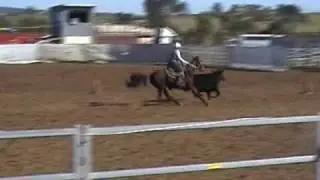 Campdraft Branxton 09