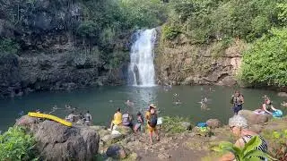 Tropical Botanical Garden Hike to the Majestic Waimea Falls