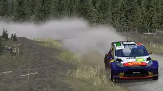 Pre-season testing with BP RedBull WRT | Ford Fiesta S2000