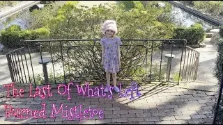 LOWL - Burned Mistletoe (Acoustic Emo Xmas) | Filmed at Cummer Museum & Downtown Jacksonville Tree