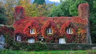 Popular traditional houses in England