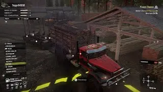 forest cleaner infinite cargo bug
