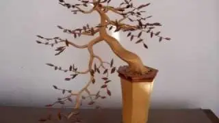 Bonsai Tree Sculpture #74 by Jim Shull