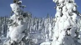 The Taiga Biome Commercial 2
