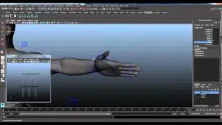 Body Rig