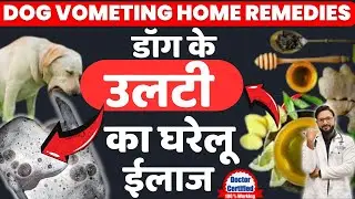 Dog Vomiting Treatment In Hindi | Dog Ki Ulti Ka Ilaj | dog ki ulti ka gharelu upay | in Hindi