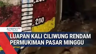 Luapan Kali Ciliwung Rendam Permukiman Pasar Minggu Jakarta Selatan