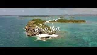 The Bird's Nest