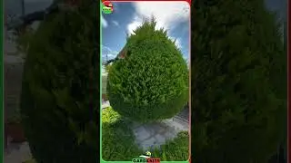 #97 