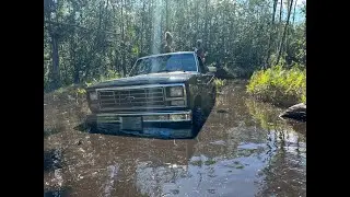 Off Roading in Tiger Bay WMA