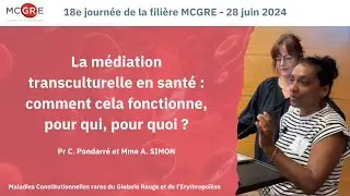 La médiation transculturelle en santé : comment cela fonctionne, pour qui, pour quoi ?