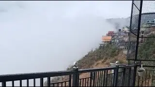 Moonshine's Garden  is live Shillai Himachal Pradesh