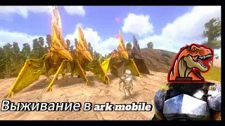 ВЫЖИВАНИЕ НА SEOS WORLD 🌎