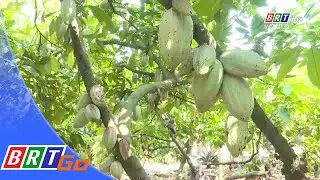 Ca cao BR-VT đ&atilde; c&oacute; mặt tại thị trường Nhật Bản | BRTgo